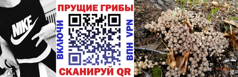 Галлюциногенные грибы мицелий  Собинка 